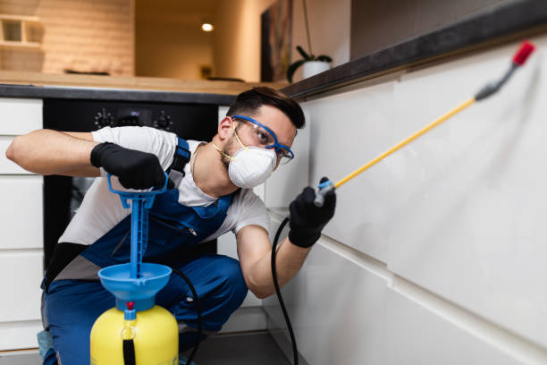 Best Residential Pest Control  in Honsville, GA