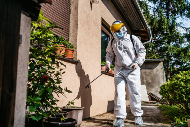 Best Local Pest Control Services  in Honsville, GA
