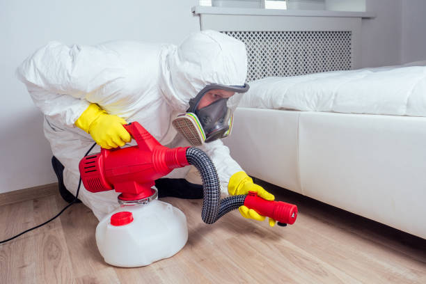 Best Emergency Pest Control  in Honsville, GA