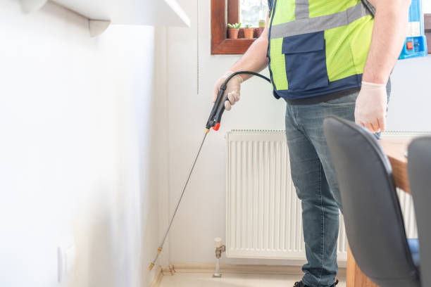 Best Rat Extermination Near Me  in Honsville, GA