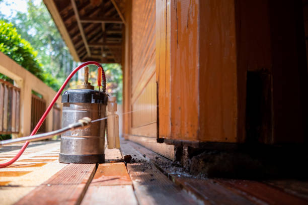 Best Mosquito Control Services  in Honsville, GA